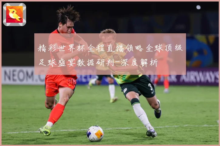 精彩世界杯全程直播领略全球顶级足球盛宴数据研判-深度解析
