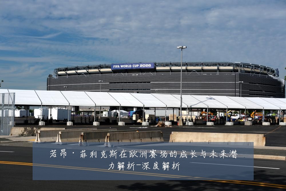 若昂·菲利克斯在欧洲赛场的成长与未来潜力解析-深度解析